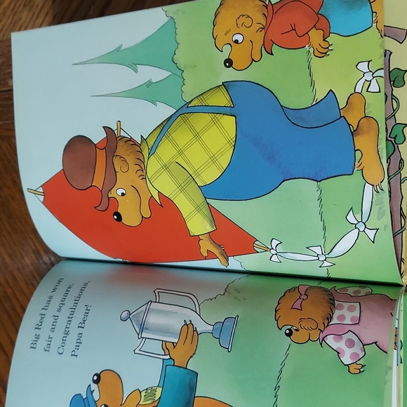 The Berenstain Bears And The Big Red Kite - Picture 11 of 14